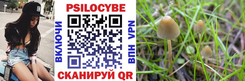 Галлюциногенные грибы Magic Shrooms  blacksprut зеркало  Белинский  купить закладку 